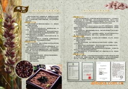 北京高天厚土农副产品公司官网 - 绿色农副产品销售专家