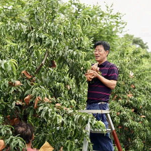 西安市雁塔区助销农副产品 以食品销售推动乡村振兴