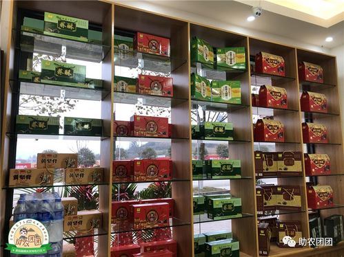 威宁黑苦荞茶 来自阳光之城的黑珍珠