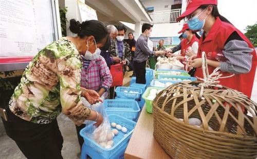 党员上门认购 綦江农副产品滞销的暖心解法